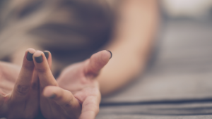 Yin Yoga Teacher Training