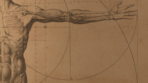 Transformational Core Strength Anatomy Training